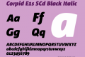 Corpid E1s SCd Black