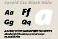 Corpid C1s Black