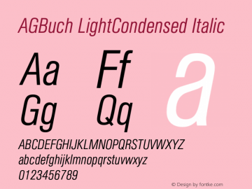 AGBuch LightCondensed