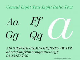 Consul Light Text