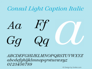 Consul Light Caption