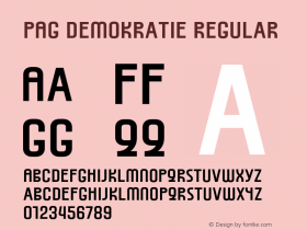 PAG Demokratie