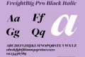 FreightBig Pro Black