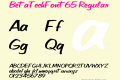 BetaTechFont65