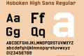 Hoboken High Sans