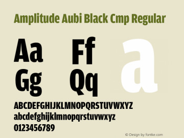 Amplitude Aubi Black Cmp