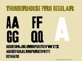 Thunderhouse Pro