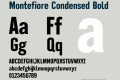 Montefiore Condensed