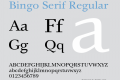 Bingo Serif