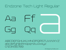 Endzone Tech Light