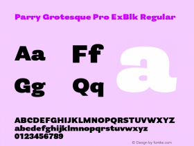 Parry Grotesque Pro ExBlk