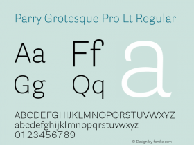 Parry Grotesque Pro Lt