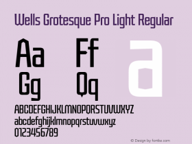 Wells Grotesque Pro Light