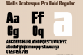 Wells Grotesque Pro Bold