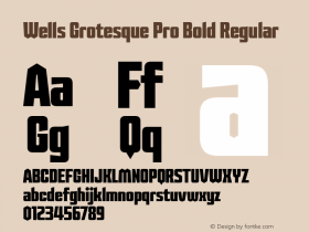 Wells Grotesque Pro Bold