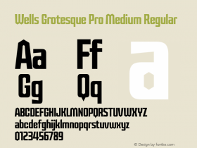 Wells Grotesque Pro Medium