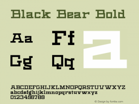 Black Bear