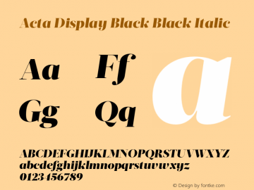 Acta Display Black