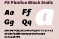 FS Pimlico Black