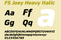 FS Joey Heavy