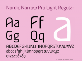 Nordic Narrow Pro Light