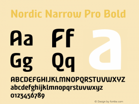 Nordic Narrow Pro