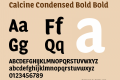 Calcine Condensed Bold