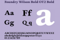 Foundry Wilson Bold OT2