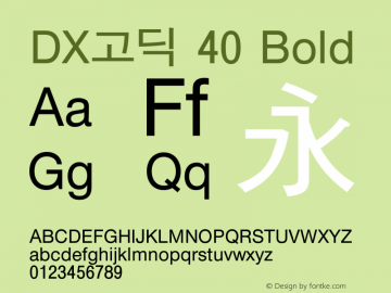 DX고딕 40