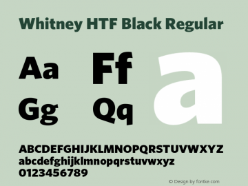 Whitney HTF Black