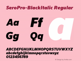 SeroPro-BlackItalic