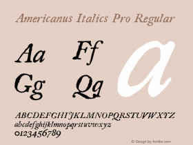 Americanus Italics Pro