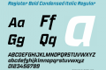 Register Bold Condensed Italic