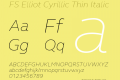 FS Elliot Cyrillic Thin