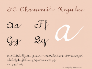 FC-Chamomile