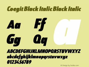 Coegit Black Italic