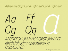 Ashemore Soft Cond Light Ital