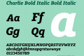 Charlie Bold Italic