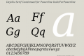 DejaVu Serif Condensed for Powerline