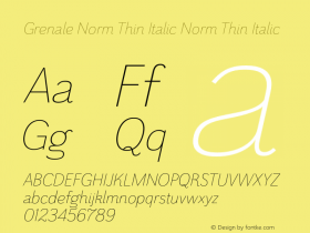 Grenale Norm Thin Italic