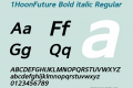 1HoonFuture Bold italic