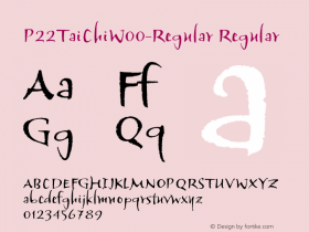 P22TaiChi-Regular