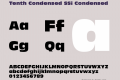 Tenth Condensed SSi