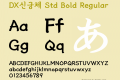 DX신궁체 Std Bold