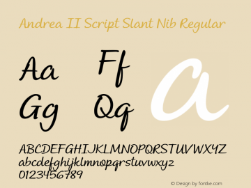 Andrea II Script Slant Nib