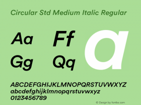 Circular Std Medium Italic