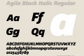 Agile Black Italic