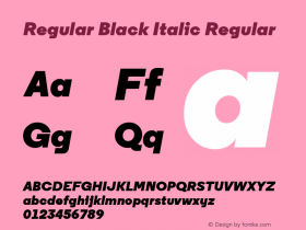 Regular Black Italic