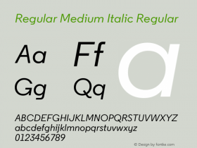 Regular Medium Italic