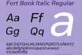 Fort Book Italic